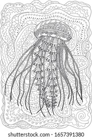 High detailed jellyfish for adult antistress coloring page. Black white hand drawn vector doodle of an oceanic animal for coloring book.