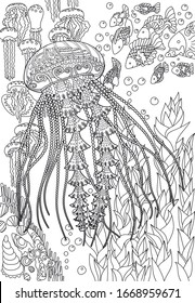 High detailed jellyfish for adult antistress coloring page. Black white hand drawn vector doodle of an oceanic animal for coloring book.