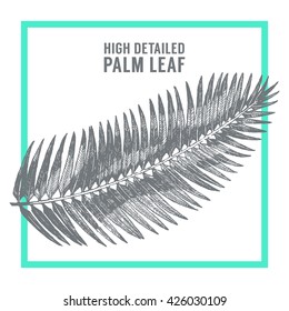 High detailed palm leaves, vector engraved illustration, hand drawn, sketch