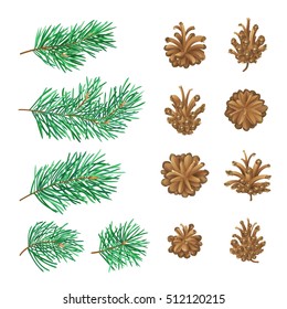 High detailed pine cones and branches with needles. Vector forest collection isolated on white background. Christmas design elements.