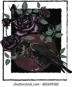 High detailed vector illustration  with black raven and roses - T Shirt Vector Art 