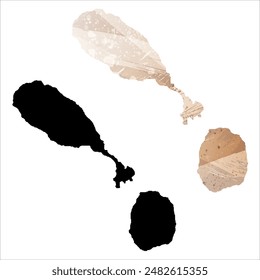 High detailed vector map. Saint Kitts and Nevis.