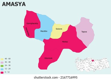 Hohe detaillierte Vektorkarte - Türkei-Amasya. Blaugraue detaillierte Karte der Türkei und der Verwaltungsabteilungen und Lage auf der Welt. Vektorgrafik
