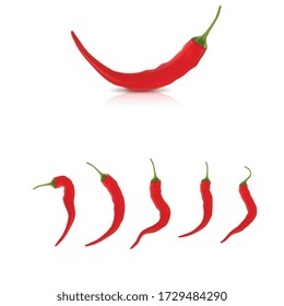 High detailed vector peppers and set of different chilis