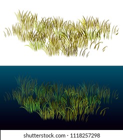 High Grass Isolated On White. Isometric View Grass For Landscapes. Realistic 3D Grass Vector Illustration.