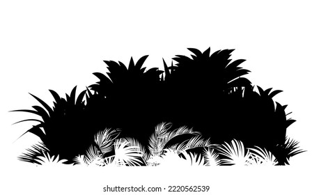 High grass. Jungle rainforest. Nature landscape silhouette. Dense tropical thickets. Isolated on white background. Vector