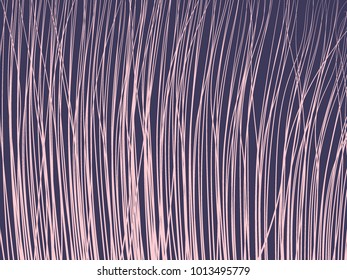 High Grass. Lines Background. Feather Texture. High Grass for Wallpaper, Fabric, Tile, Web Design, Packaging Paper, Textile, Illustrations, Presentation, Banner.  Lines Wallpaper. Striped Background.