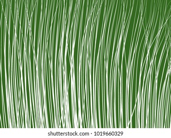 High Grass. Lines Background. Feather Texture. High Grass for Wallpaper, Fabric, Tile, Web Design, Packaging Paper, Textile, Illustrations, Presentation, Banner.  Lines Wallpaper. Striped Background.