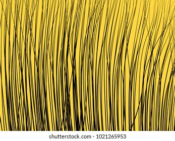 High Grass. Lines Background. Feather Texture. High Grass for Wallpaper, Fabric, Tile, Web Design, Packaging Paper, Textile, Illustrations, Presentation, Banner.  Lines Wallpaper. Striped Background.