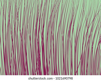 High Grass. Lines Background. Feather Texture. High Grass for Wallpaper, Fabric, Tile, Web Design, Packaging Paper, Textile, Illustrations, Presentation, Banner.  Lines Wallpaper. Striped Background.