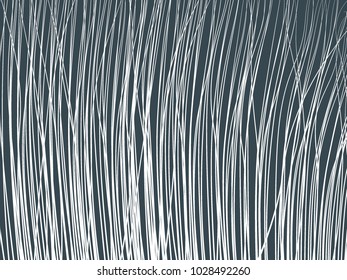High Grass. Lines Background. Feather Texture. High Grass for Wallpaper, Fabric, Tile, Web Design, Packaging Paper, Textile, Illustrations, Presentation, Banner. Lines Wallpaper. Striped Background.