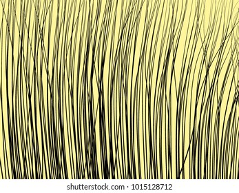 High Grass for Wallpaper, Fabric, Tile, Web Design, Packaging Paper, Textile, Illustrations, Presentation, Banner. Lines Wallpaper. Striped Background.