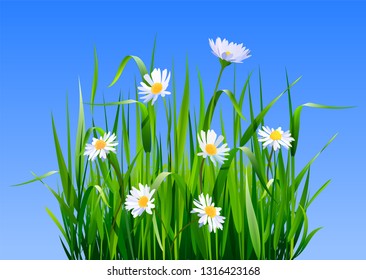 High green fresh grass and meadow flowers. Deep fresh grass background.