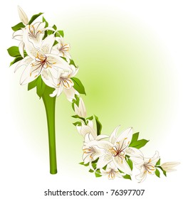 High heel from beautiful flowers. Vector