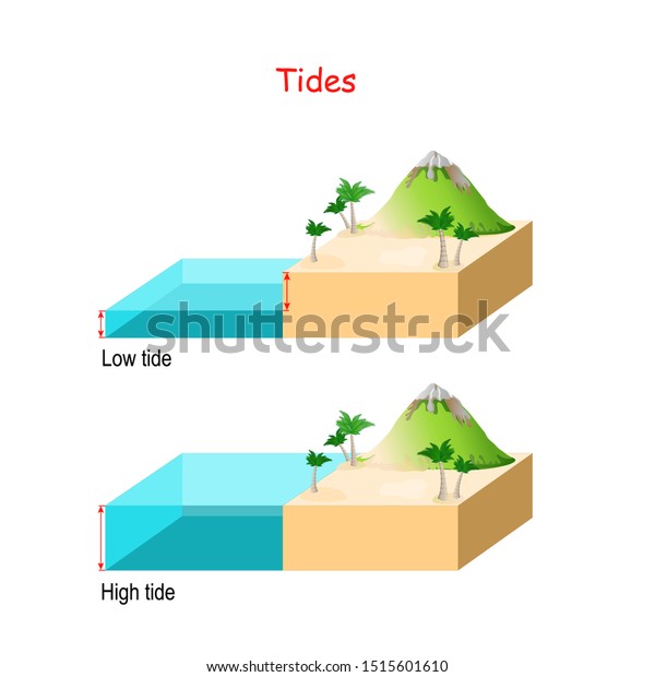 High and low tides. Landscape with mountain, sea\
and palm trees. water\
​​level
