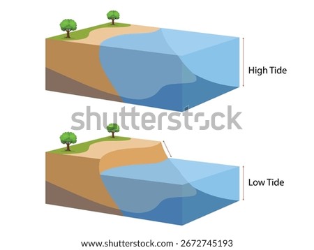 High and low tides. Landscape sea with trees. water ​​level