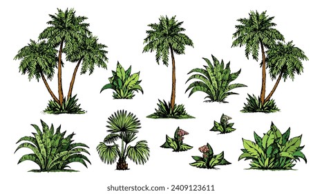 La rama de arbusto de coco del desierto de áfrica alta y exuberante crece el elemento de la línea sobre el fondo blanco. Color claro mano traza verde hierba verde logo pictograma diseño emblema en arte estilo retro doodo impresión