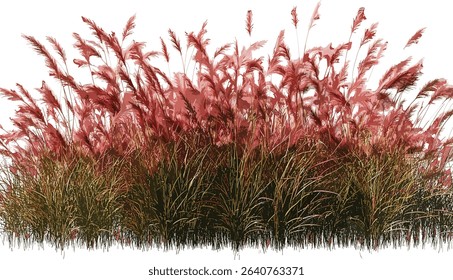 High meadow, red flora, vector grass fields, tropical plants, summer landscape, vibrant greenery, nature fields, lush meadow, floral design, tropical environment, outdoor scenery
