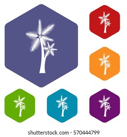 High palm tree icons set rhombus in different colors isolated on white background