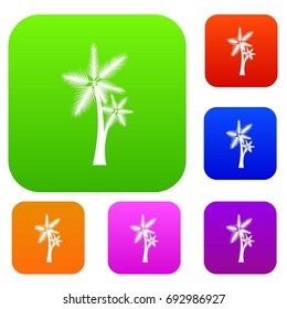 High palm tree set icon in different colors isolated vector illustration. Premium collection