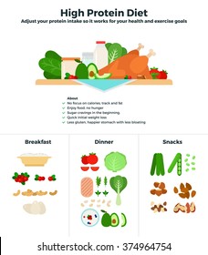 High protein diet vector flat illustrations. Products containing high dose of protein, recomendations for healthy nutrition. Products classified for breakfast, dinner and snacks isolated