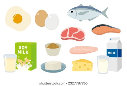 High protein food illustration set