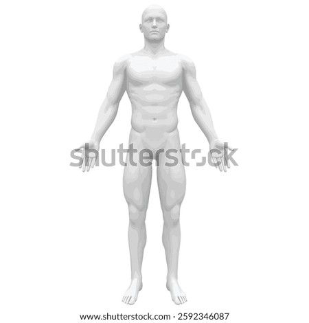 High quality 3D human body model