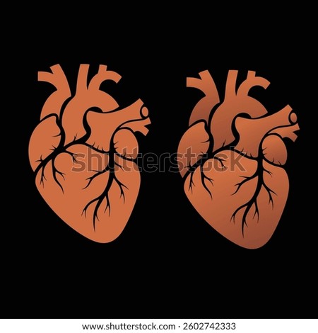 High quality anatomical heart vector illustration featuring two detailed orange-toned hearts with intricate blood vessel networks.