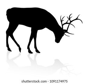 High quality animal silhouette of a deer