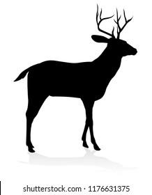 High quality animal silhouette of a deer