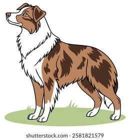 High Quality Australian Shepherd Dog Vector Illstration