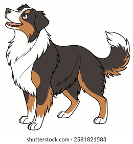 High Quality Australian Shepherd Dog Vector Illstration