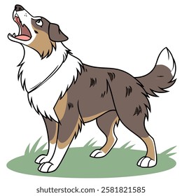 High Quality Australian Shepherd Dog Vector Illstration