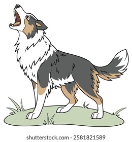 High Quality Australian Shepherd Dog Vector Illstration