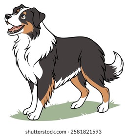 High Quality Australian Shepherd Dog Vector Illstration