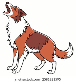 High Quality Australian Shepherd Dog Vector Illstration