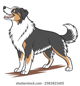 High Quality Australian Shepherd Dog Vector Illstration