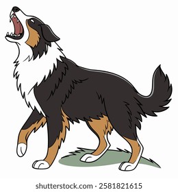 High Quality Australian Shepherd Dog Vector Illstration