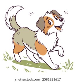 High Quality Australian Shepherd Dog Vector Illstration