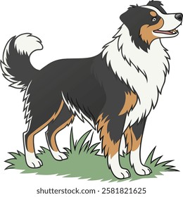 High Quality Australian Shepherd Dog Vector Illstration