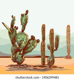 High quality background desert landscape with cacti, sunset, natural stylish, suculents, ideal for wallpaper, surface textures