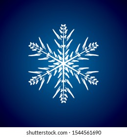 high quality, beautiful vector snowflake icon.