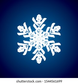 high quality, beautiful vector snowflake icon.