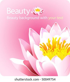 High quality beauty background pink lotus flower with a place for your text - forces of nature theme
