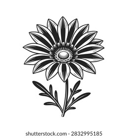 A high quality black and white line art illustration of a blooming gazania flower with detailed petals and foliage in an engraving style.