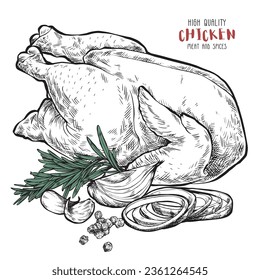 High quality chicken drawing in engraving style. Cutting meat with spices. Culinary illustration for restaurant or farm advertising.