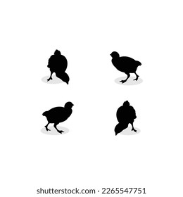 High quality  chicken silhouette design for your business branding.