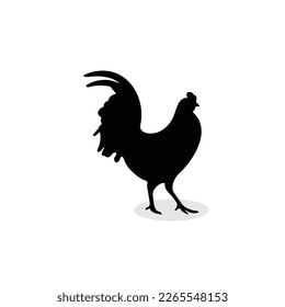 High quality  chicken silhouette design for your business branding.