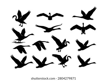 High quality collection of swan silhouettes showcasing birds in various positions including landing wings spread gliding and soaring postures perfect for elegant nature branding wildlife logos wallpaper designs avian studies school sports mascots or creative print decorative elements.