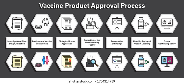 High Quality Colored And Plain Vectors Line Art Set For The Vaccine Product Approval Process